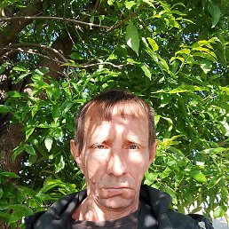 , 46, 
