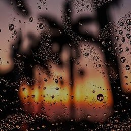 �����, �����-���������, 41 ���