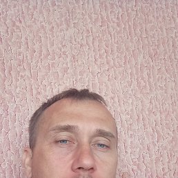 , 36, 