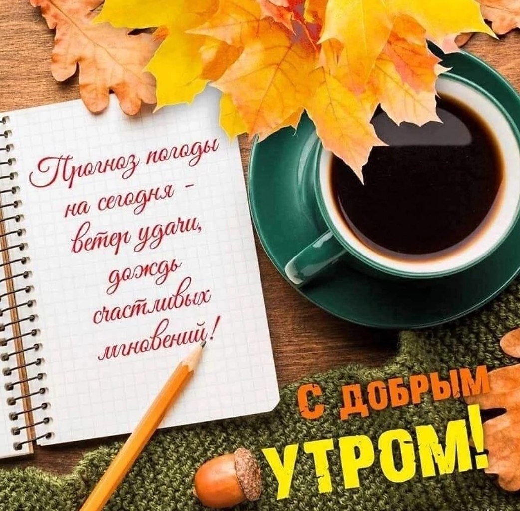   ,    . - 17  2025  23:09