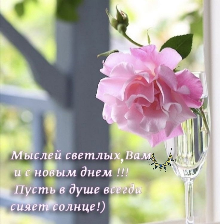 ����������� � ���������, �������� �� ������ ����. - 15 ������ 2026 � 12:07