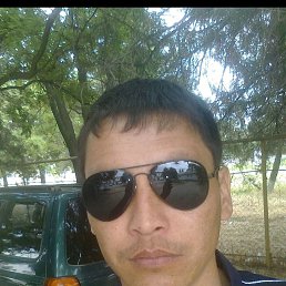 , 37, 