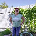 ���� �������, �����������, 68 ��� - ��������� 6 ������� 2024 � ������ ���� ����������