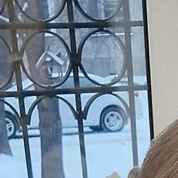 �����, ������������, 40 ���