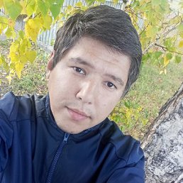 ������, 33 ����, ����