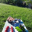 ���� Ը���, ���������, 43 ���� - ��������� 13 ���� 2024 � ������ ���� ����������