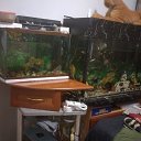 ���� �����, ������, 40 ��� - ��������� 29 ������ 2025 � ������ ������ ��������