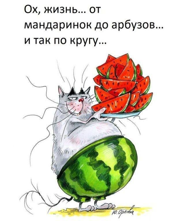   ,    . - 4  2025  20:41