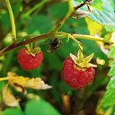 ���� �, �����-���������, 58 ��� - ��������� 24 ����� 2024 � ������ ���� ����������