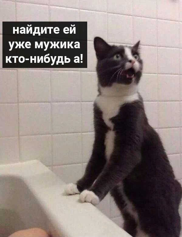       - 4