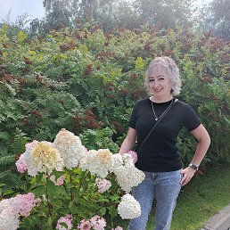 , 44, 