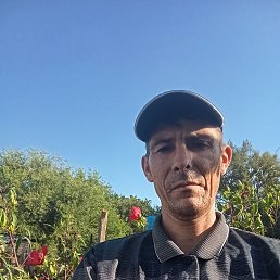 , 44, 