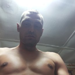 ����, 33 ����, ����