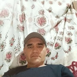  , 48, 