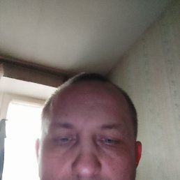 , 50, -