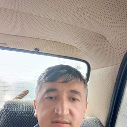 , 37, 