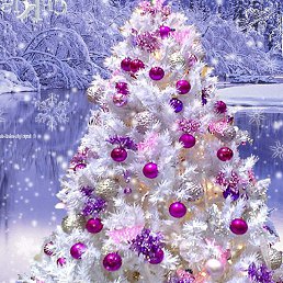 �������, ������, 38 ���