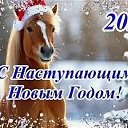 ���� ������, ������ - ��������� 31 ������� 2025 � ������ ������ ��������