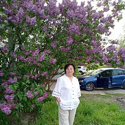 �����, 66 ���, ������