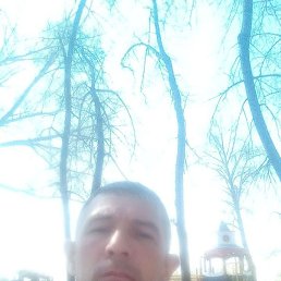 , 43, 