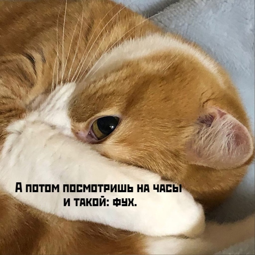       - 10  2025  17:30 - 3