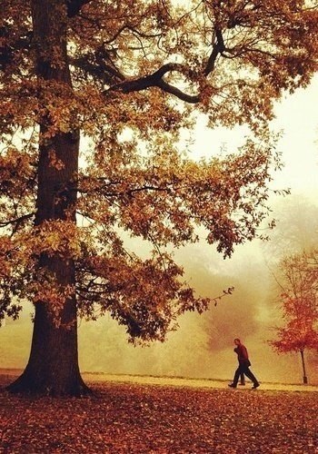     , ,  . ,    ,  ... - 6