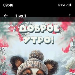 ���� ��������, �����, 52 ���� - ��������� 8 ������ 2026