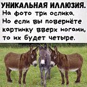 ���� ������, ������������, 44 ���� - ��������� 7 ���� 2024 � ������ ������ ��������