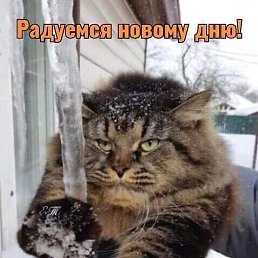 �������, ������, 57 ���