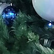 ������, 38 ���, �������