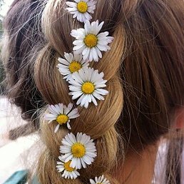 Ver�&radic;nik�, ������, 96 ���