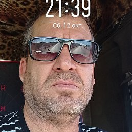 ������, ����, 46 ���