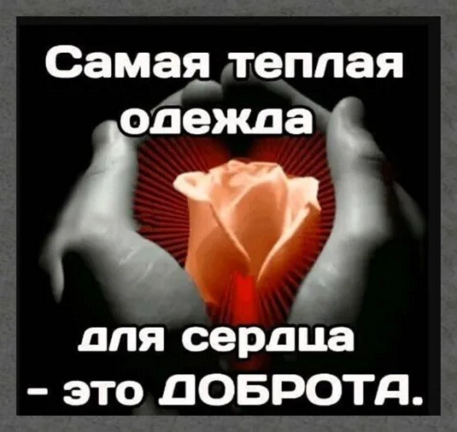 ☆ ☆ - 28  2025  08:31