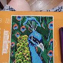  , , 36  -  22  2025    