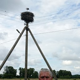 , 61 , 