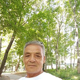 , 61,  