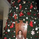 ���� �������, ������, 31 ��� - ��������� 6 ����� 2026