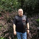 ���� ����, ������, 59 ��� - ��������� 21 �������� 2025 � ������ ���� ����������