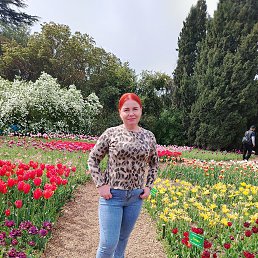 , 46, 