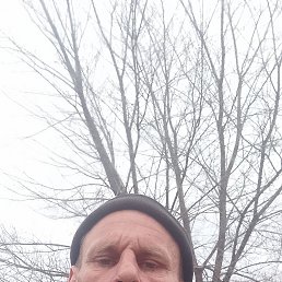 ������, 48 ���, ����