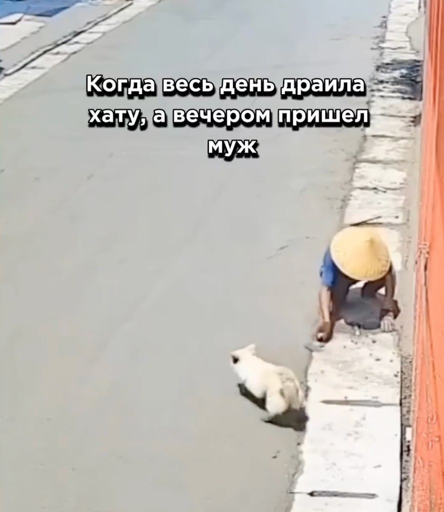      - 2