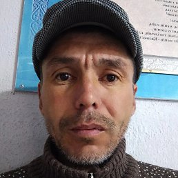 ����, ���������, 43 ����