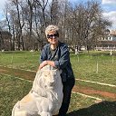 ���� �������, ������, 66 ��� - ��������� 9 ������ 2026 � ������ ���� ����������