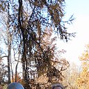 ���� ���������, �����-��������� - ��������� 22 ������� 2025 � ������ ���� ����������