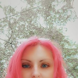, 33, 
