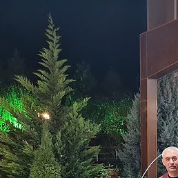 ����, �������������-����������, 55 ���