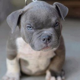 ������, ������, 48 ���