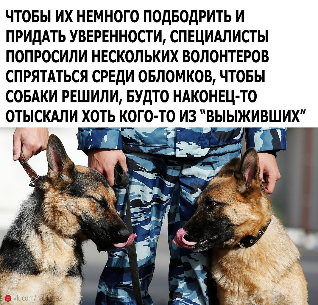 ���� ������ ����� ���� ����� ��������������� - 3