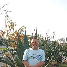 ����, 54 ����, ����������