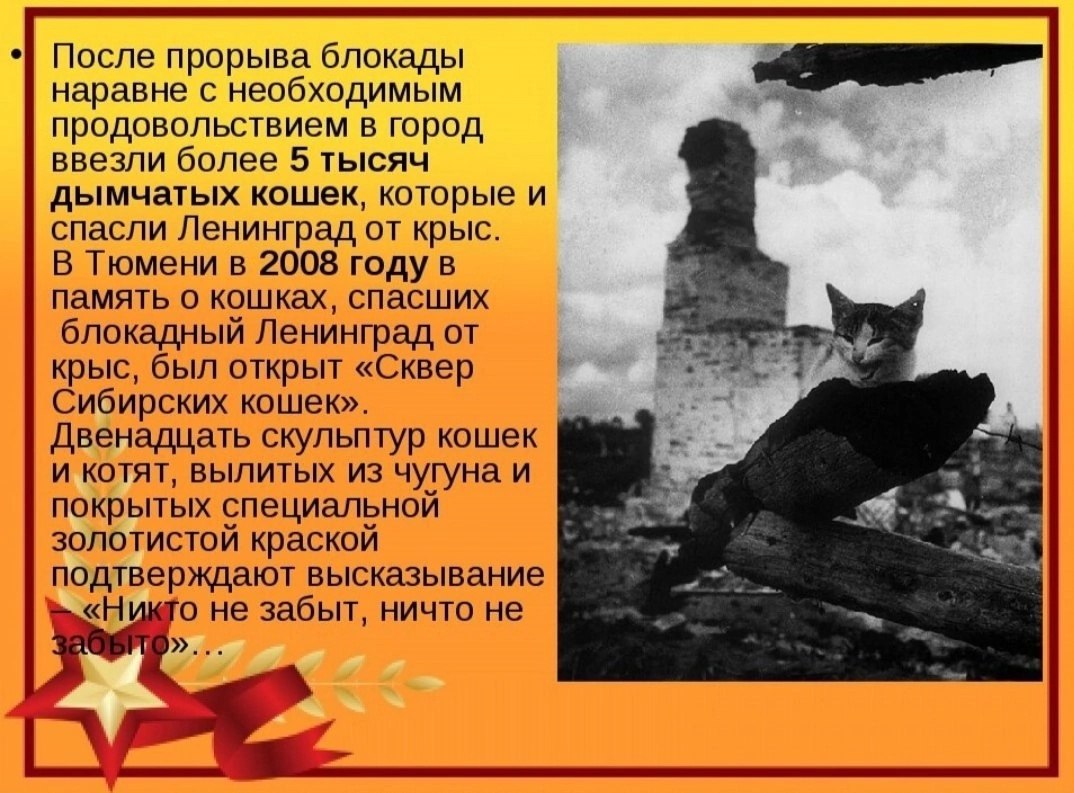  - 9  2025  16:23